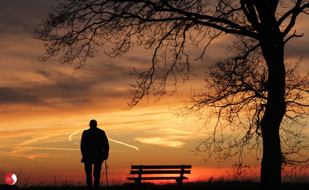 Silhueta de um idoso caminhando ao pôr do sol, próximo a um banco vazio e uma árvore, representando reflexão, solidão e o ciclo da vida. Cuidado de Si, Envelhecimento e Qualidade de Vida.