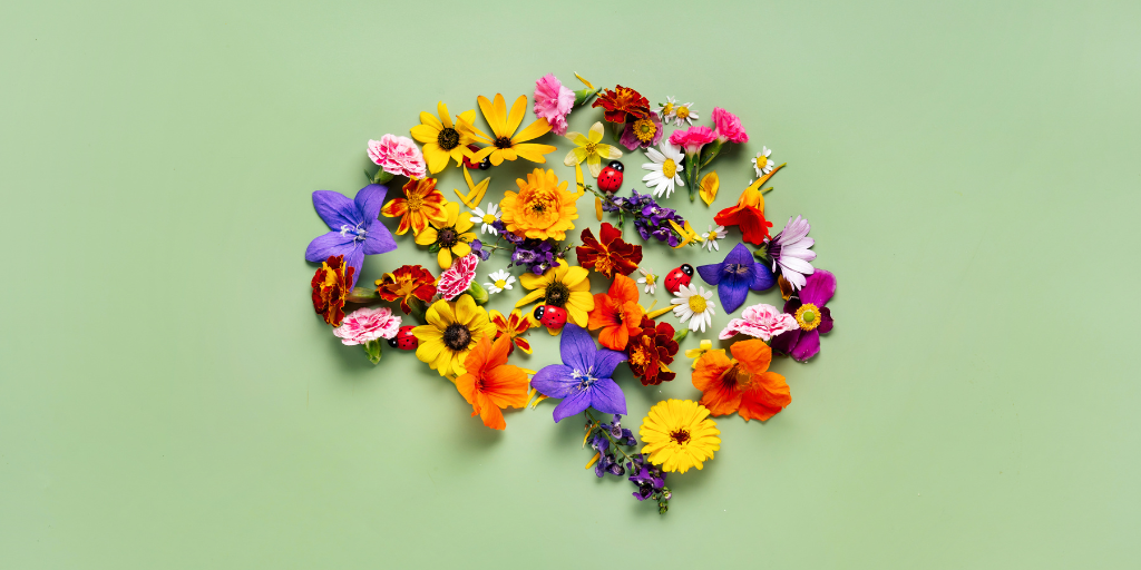 Silhueta cerebral feita de flores multicoloridas, representando a floração emocional através do autoconhecimento