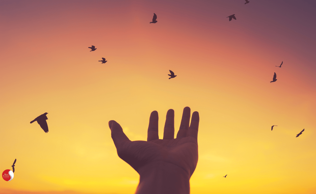 Uma mão estendida em direção a um céu dourado ao pôr do sol, com pássaros voando livremente. A imagem simboliza a libertação da ansiedade e a busca pela paz interior.