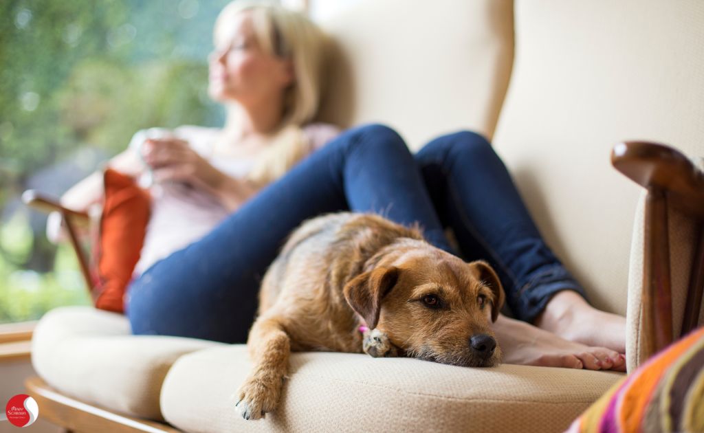 Mulher relaxando em um sofá ao lado de seu cachorro, em um ambiente tranquilo e acolhedor, simbolizando a importância do descanso e do autocuidado na recuperação do burnout.