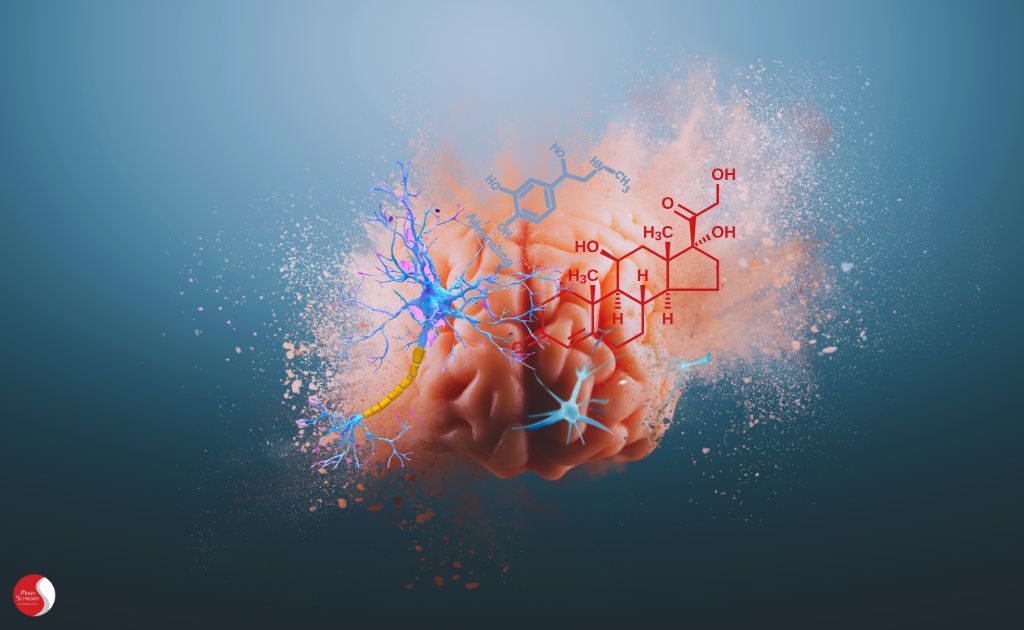 Ilustração conceitual de um cérebro se desfazendo, simbolizando o impacto do Burnout e o desgaste mental causado pelo estresse contínuo