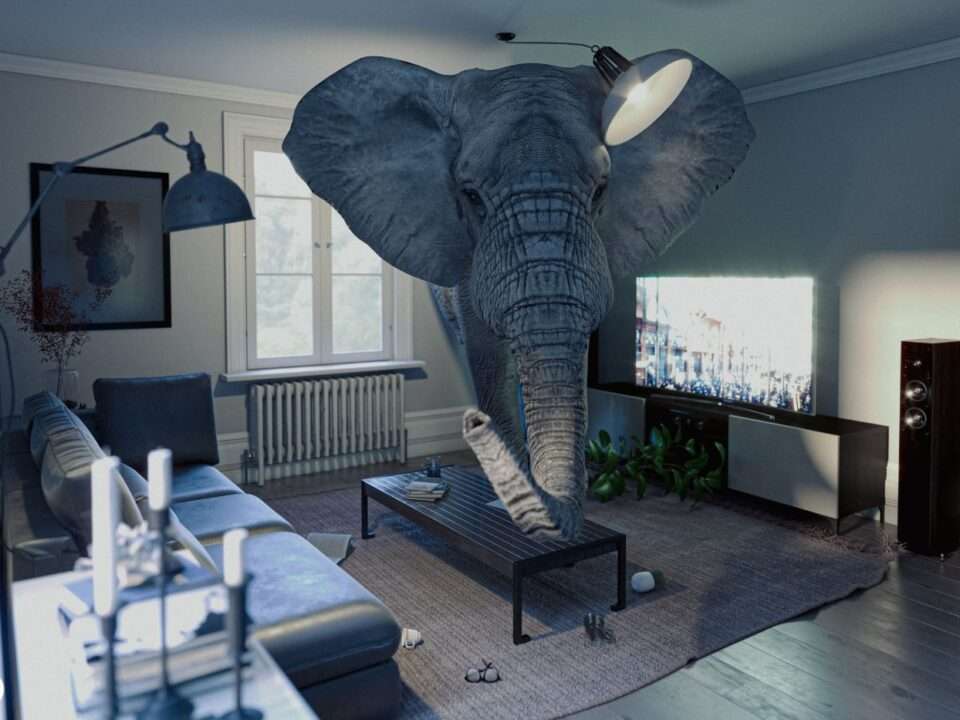 Imagem conceitual de um elefante em uma sala de estar — representando a dor emocional ignorada no cotidiano.