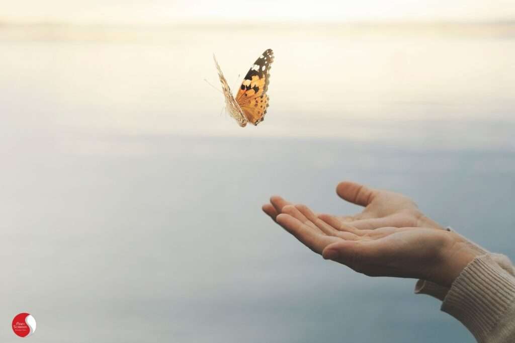 Borboleta voando das mãos representando alívio emocional no tratamento para ansiedade