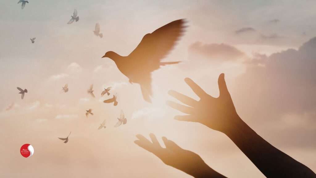 Mãos abertas em direção a pássaros em voo ao entardecer, simbolizando o tratamento do transtorno do pânico como um processo de retomada gradual da autonomia emocional e da confiança no próprio corpo.
